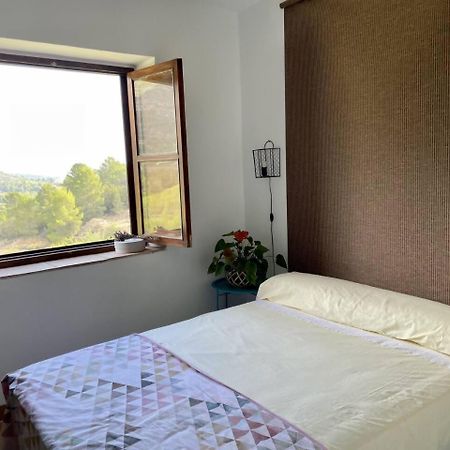 Eco Maset Alojamiento Rural Rodeado De Naturaleza Ayelo de Malferit Εξωτερικό φωτογραφία